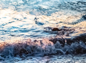 Michele Mathis Photography - Landscapes